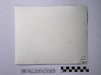 黃則修攝劫後林相藏品圖，第2張