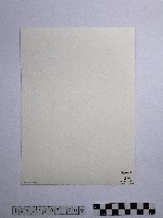 黃則修攝劫後林相藏品圖，第2張