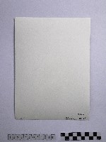 黃則修攝岩壁上的冰柱藏品圖，第2張