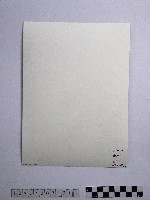 黃則修攝岩壁上的冰柱藏品圖，第2張