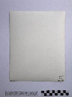 黃則修攝合歡主峰的冰樹藏品圖，第2張