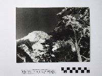 黃則修攝合歡主峰的冰貌藏品圖，第1張