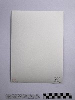 黃則修攝合歡山上結冰的巨木藏品圖，第2張