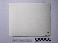 黃則修攝像冰淇淋的雪山藏品圖，第2張