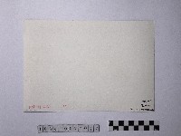 黃則修攝天路藏品圖，第2張