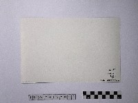 黃則修攝天路藏品圖，第2張