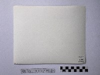 黃則修攝高山初雪藏品圖，第2張