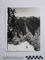 黃則修攝奇萊連峰的初雪藏品圖，第1張