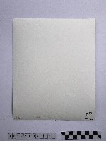 黃則修攝高山紡娘藏品圖，第2張