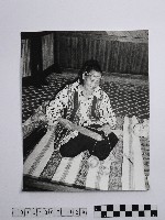 黃則修攝高山紡娘藏品圖，第1張