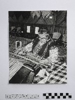 黃則修攝高山紡娘藏品圖，第1張