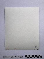 黃則修攝高山紡娘藏品圖，第2張