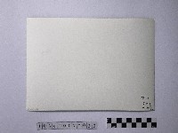 黃則修攝修建茅屋的沙拉茅部落藏品圖，第2張