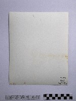 黃則修攝開山重械之入侵藏品圖，第2張