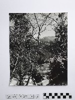 黃則修攝霧社之春藏品圖，第1張