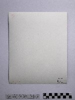 黃則修攝霧社之春藏品圖，第2張