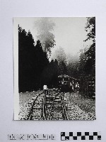 黃則修攝世界聞名的阿里山鐵路藏品圖，第1張