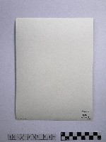 黃則修攝阿里山巨檜藏品圖，第2張