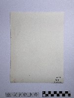 黃則修攝高山初冬藏品圖，第2張