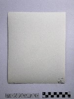 黃則修攝冰樹迎曦藏品圖，第2張