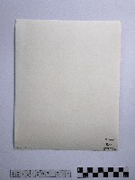 黃則修攝冰樹迎曦藏品圖，第2張