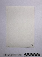 黃則修攝冰樹迎曦藏品圖，第2張