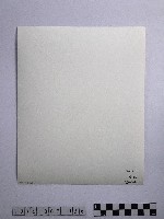 黃則修攝蔽天的原始林藏品圖，第2張