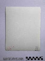 黃則修攝蔽天的原始林藏品圖，第2張