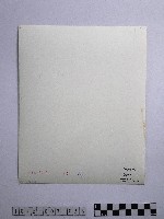 黃則修攝蔽天的原始林藏品圖，第2張