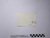 黃則修攝澎湖天后宮藏品圖，第2張