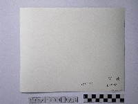 黃則修攝高粱藏品圖，第2張