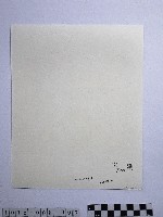 黃則修設童乩的祈禱藏品圖，第2張