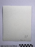 黃則修設童乩的祈禱藏品圖，第2張