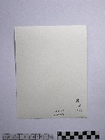 黃則修攝澎湖厝藏品圖，第2張