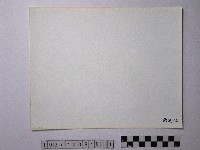 黃則修攝野柳地景藏品圖，第2張