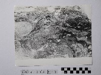 黃則修攝野柳地景藏品圖，第1張