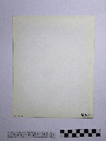 黃則修攝野柳地景藏品圖，第2張