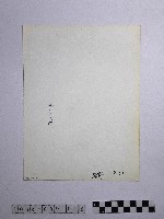 黃則修攝野柳地景藏品圖，第2張