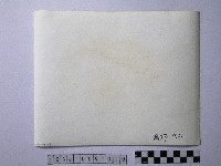 黃則修攝野柳地景藏品圖，第2張