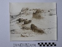 黃則修攝野柳地景藏品圖，第1張