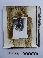 黃則修攝野柳地景系列照片藏品圖，第1張