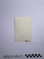 黃則修攝野柳地景藏品圖，第2張