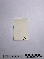 黃則修攝野柳地景藏品圖，第2張