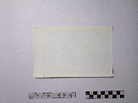 黃則修攝野柳地景藏品圖，第2張