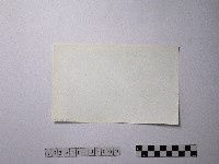 黃則修攝野柳地景藏品圖，第2張