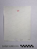 黃則修攝梅花藏品圖，第2張