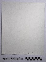 黃則修攝櫻花景緻藏品圖，第2張