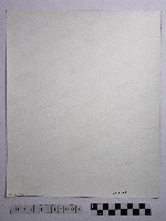 黃則修攝櫻花樹下賞櫻人群藏品圖，第2張