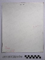 黃則修攝聖誕紅藏品圖，第2張