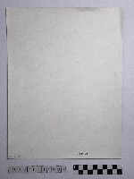 黃則修攝櫻花藏品圖，第2張